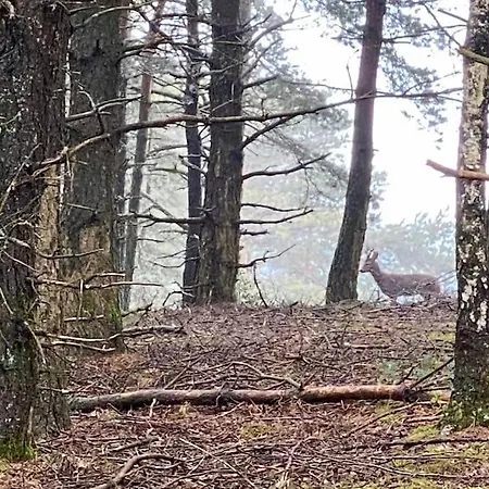 La Maison Trebuc, Avec Magnifique Vue *