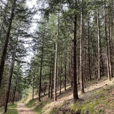 La Maison Trebuc, Avec Magnifique Vue Casa de Férias