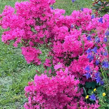 La Maison Trebuc, Avec Magnifique Vue Casa de Férias Montezic