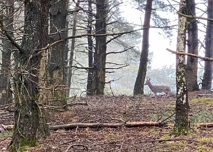La Maison Trebuc, Avec Magnifique Vue *