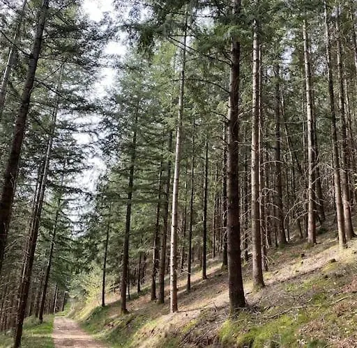 La Maison Trebuc, Avec Magnifique Vue Vakantiehuis